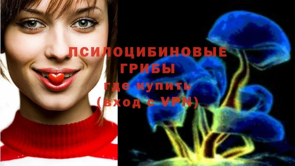 PSILOCYBIN Белоозёрский